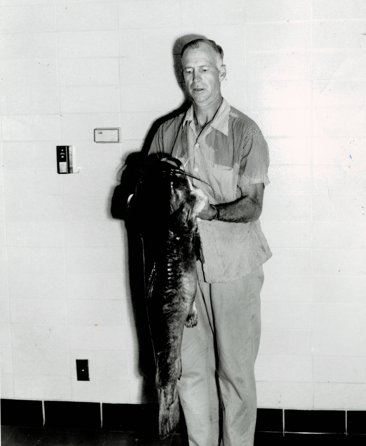 Fr McAuliff 1955 catfish